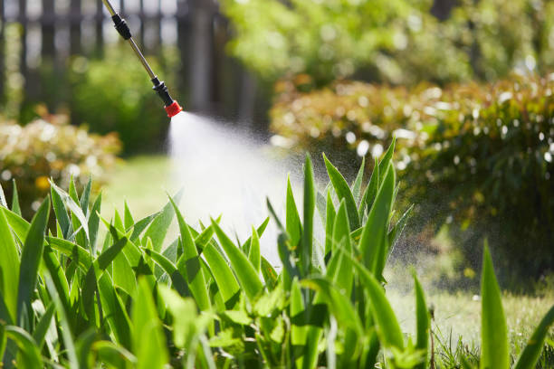 24/7 Emergency Wasp Removal experts in Zion, IL