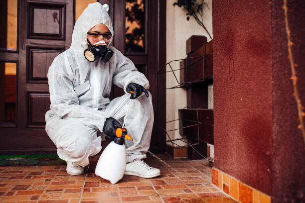 Reliable Wasp Removal contractor in Zion, IL by Show Me Pest Control
