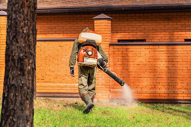 Top rated local Wasp Removal specialists in Zion, IL